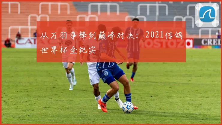 从万羽争锋到巅峰对决:2021信鸽世界杯全纪实