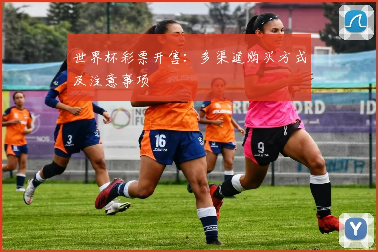世界杯彩票开售:多渠道购买方式及注意事项