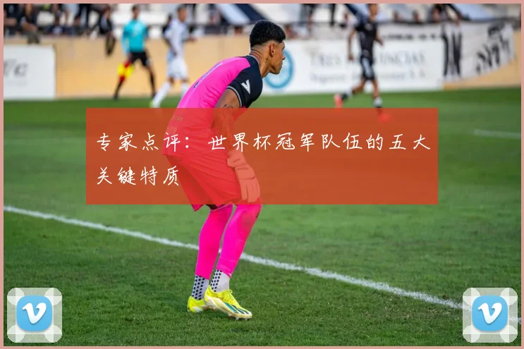 专家点评:世界杯冠军队伍的五大关键特质