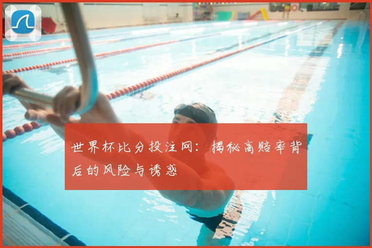 世界杯比分投注网:揭秘高赔率背后的风险与诱惑