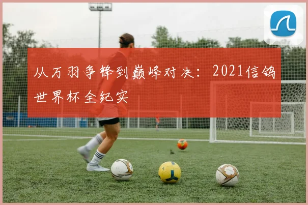 从万羽争锋到巅峰对决:2021信鸽世界杯全纪实