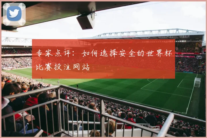 专家点评:如何选择安全的世界杯比赛投注网站