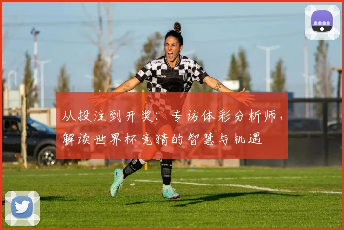 从投注到开奖:专访体彩分析师,解读世界杯竞猜的智慧与机遇