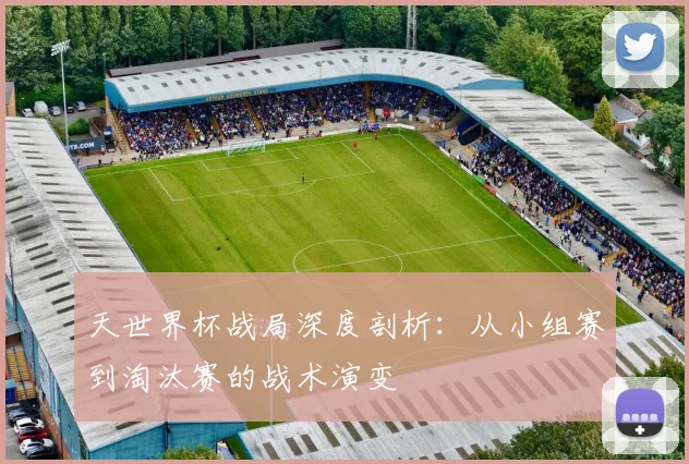 天世界杯战局深度剖析：从小组赛到淘汰赛的战术演变