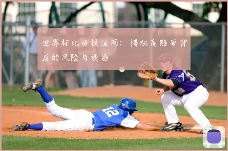 世界杯比分投注网:揭秘高赔率背后的风险与诱惑
