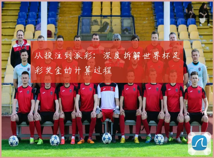 从投注到派彩:深度拆解世界杯足彩奖金的计算过程