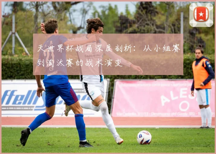 天世界杯战局深度剖析：从小组赛到淘汰赛的战术演变