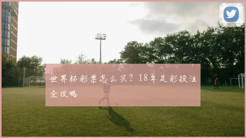 世界杯彩票怎么买?18年足彩投注全攻略